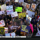 Illustration for article titled Colonel Reb Voted Obama: Your emCollege GameDay/em Sign Roundup